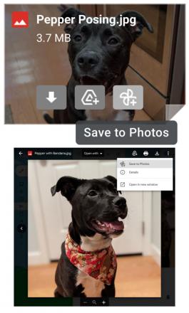 Salvare le foto ricevute tramite Gmail sull’app Google Foto